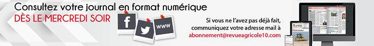 Votre journal au format numérique