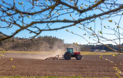 Premier apport d’azote sur blé,  la stratégie à adopter