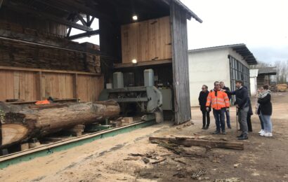A la scierie Tarteret, « c’est le bois qui commande »