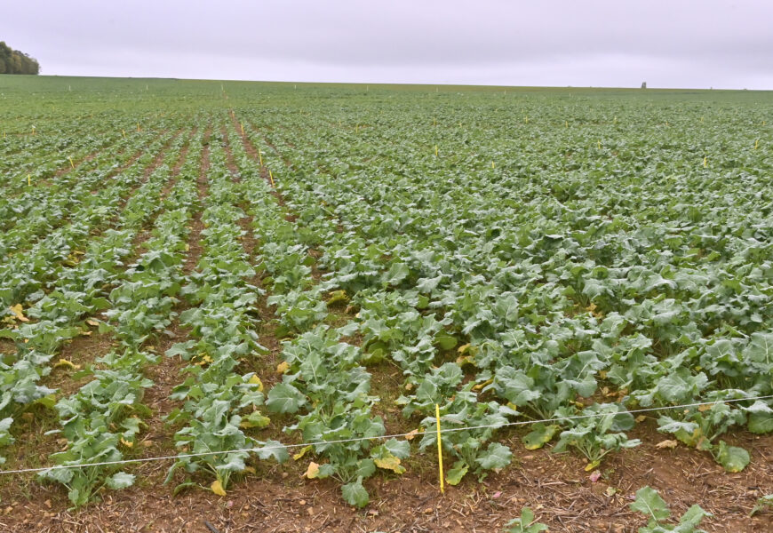 Pollution des eaux : nouvel arrêté  du programme d’actions national