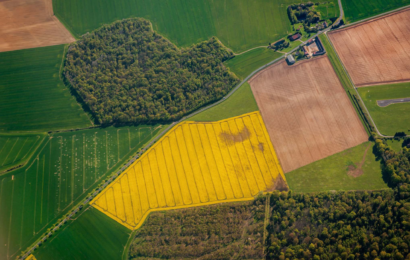 L’implantation du colza commence dès maintenant