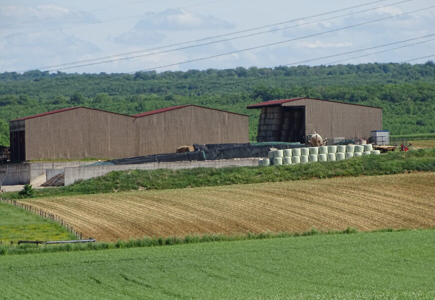 Le sort du bail rural au décès du preneur