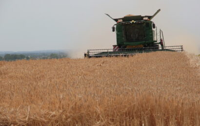 Point moisson : les orges d’hiver  s’en sortent mieux