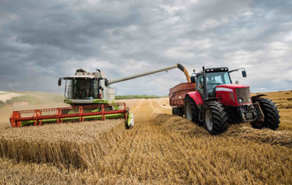 Blé : la France bien positionnée  sur un marché incertain