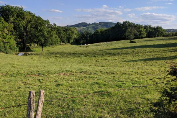 Changement climatique :  qu’est-ce que l’effet albédo ?