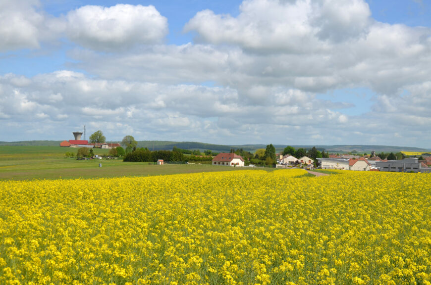Cerfrance invite les agriculteurs  à se réinventer