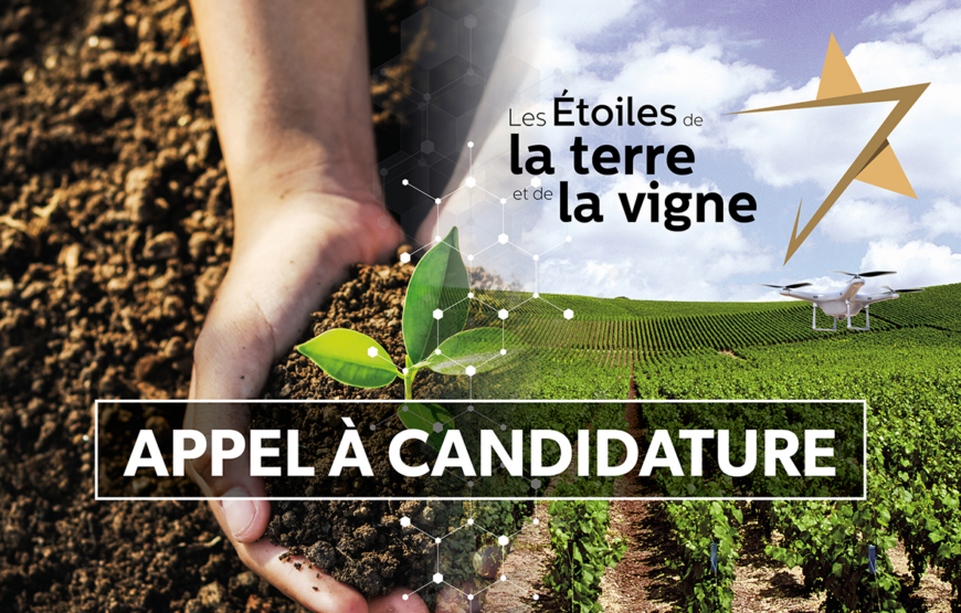 Étoiles de la terre et de la vigne :  et si c’était vous ?