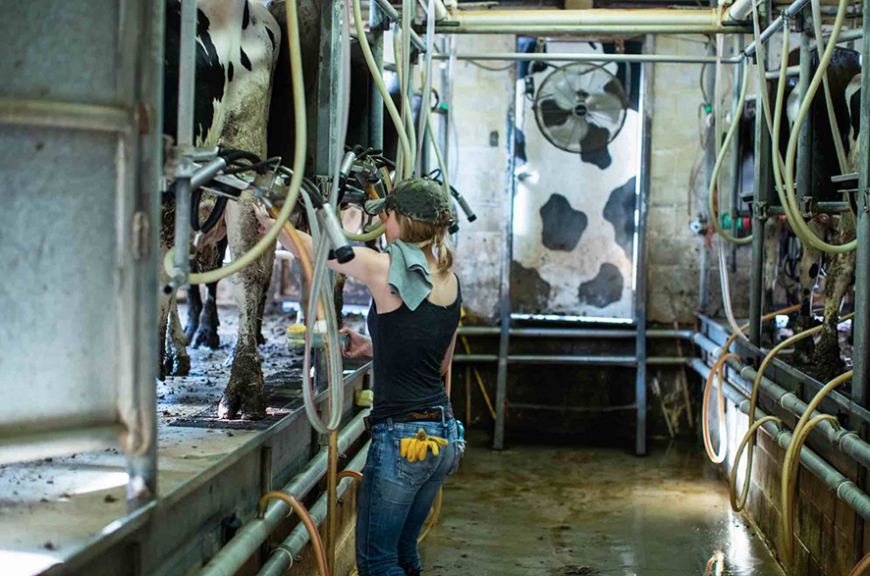 Prix plancher : la loi espagnole qui inspire l’Elysée