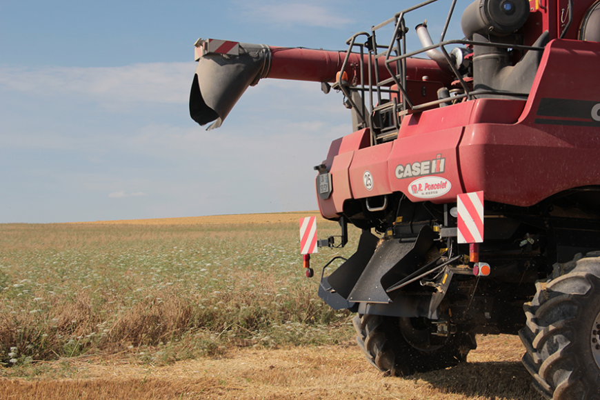 Rentrée sur fond de sinistrose Rentrée sur fond de sinistrose