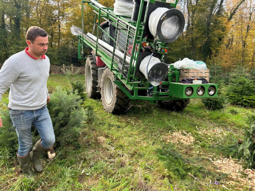 Profession : producteur  de sapins de Noël