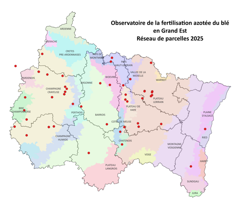 Le statut de nutrition azotée des blés au 5 mars