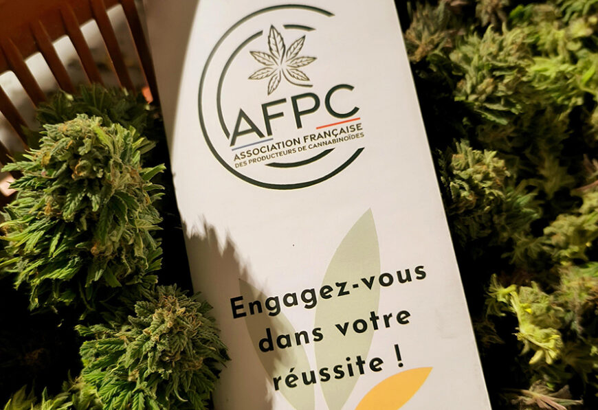 CBD : une filière en plein boum