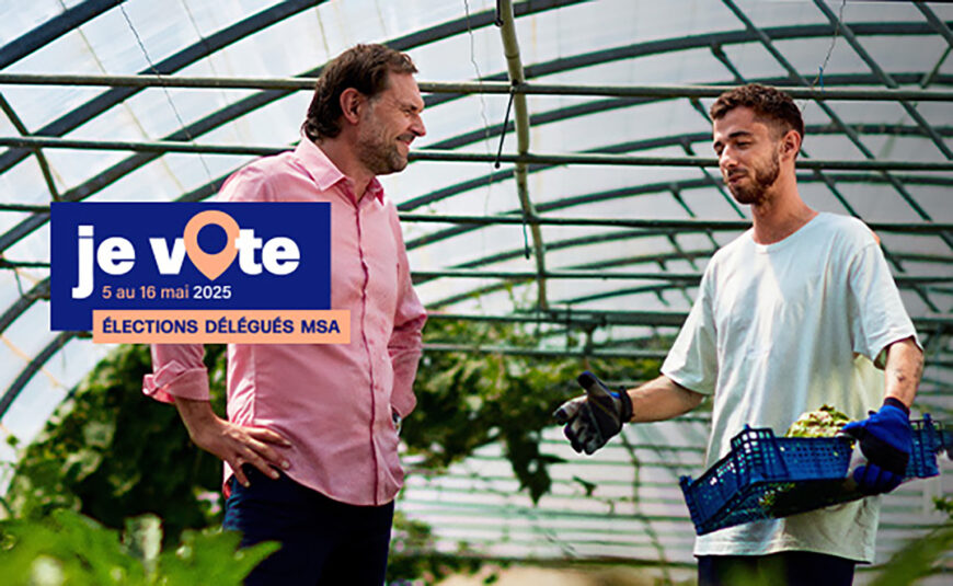 Élections MSA : dans l’Aube, 22 000 électeurs invités à voter