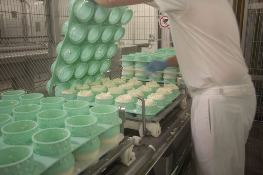 Le Chaource retrouve des couleurs