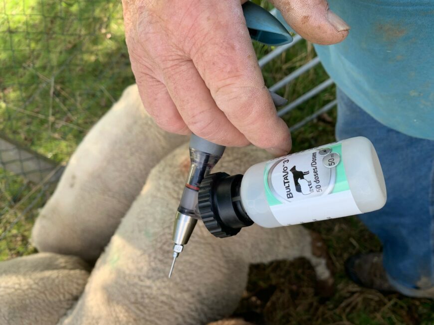 De nouvelles aides pour vacciner