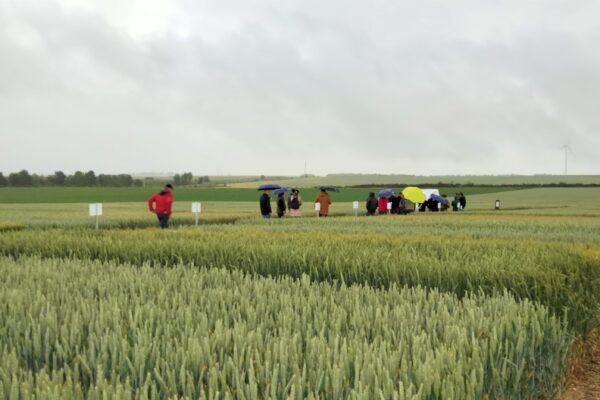 Scara : des indicateurs pour la biodiversité