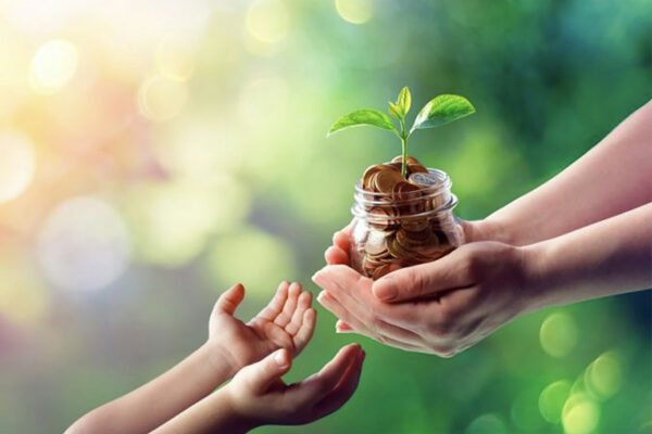 Donations aux petits enfants par les grands-parents