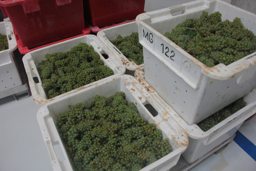 Champagne : élargir les marchés pour inverser la tendance