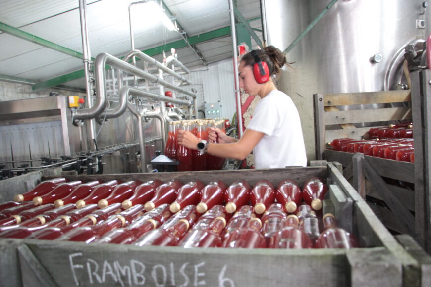 La pomme du pays… d’Hotte en pleine effervescence