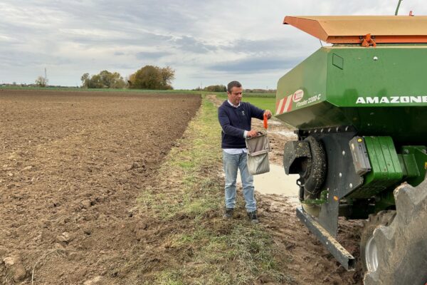 Les semis d’hiver sur une bonne lancée